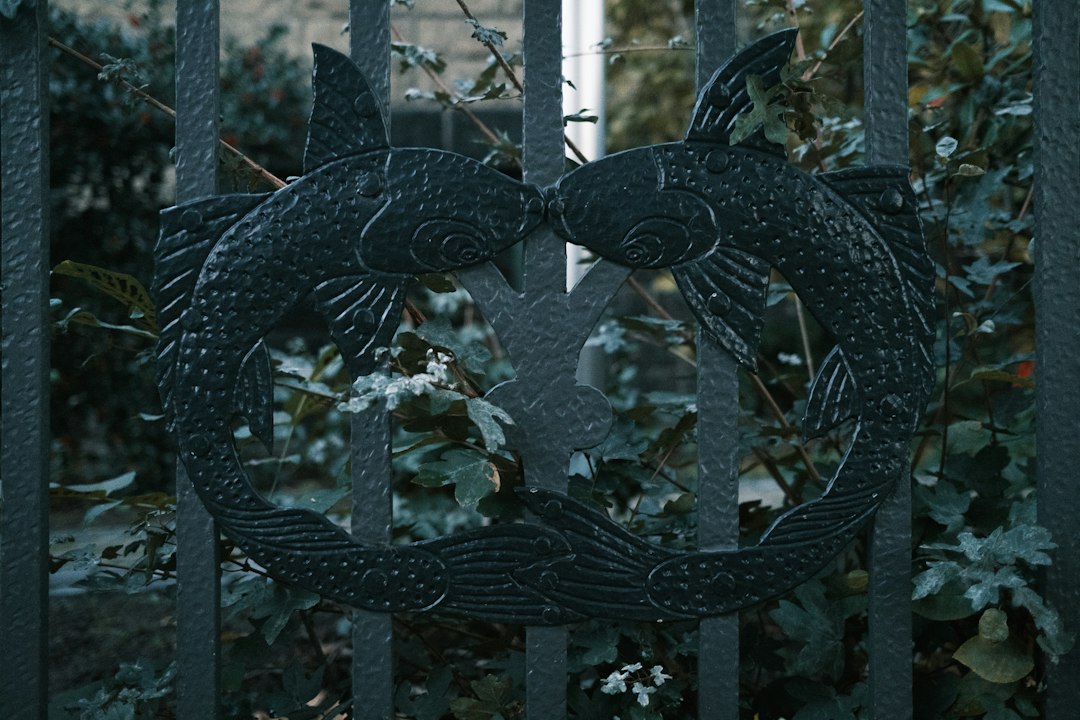 Iron Fish криптовалюта: Полное руководство по приватности, технологии и возможностям инвестирования